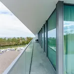 Sea Waves & 428b By Renters Apartment