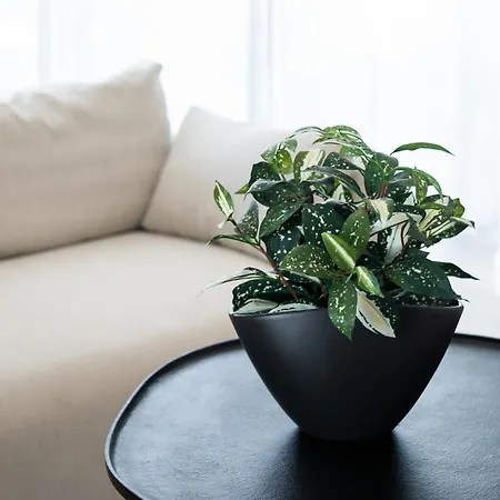 Sea Waves & 428b By Renters