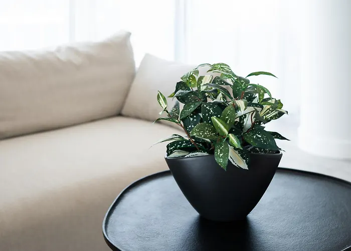 Sea Waves & 428b By Renters